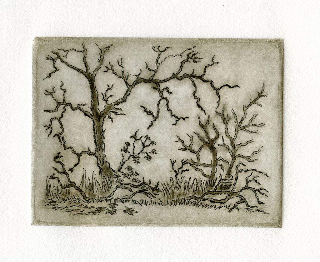 etching and aquatint of bare trees in winter fog