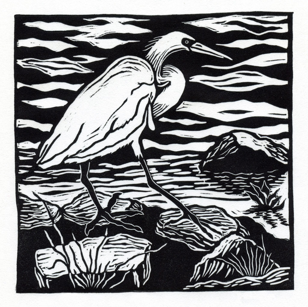 Linocut of Snowy Egret walking on stones along creek