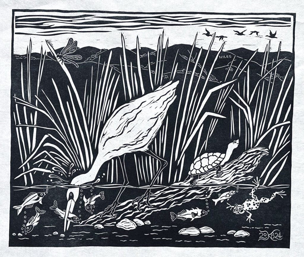 linocut of snowy egret standing on a partially submerged log, with head in the water, catching a fish in its beak; other fish swimming around, a frog and turtle nearby, with tall reeds and the Fremont hills in the background.