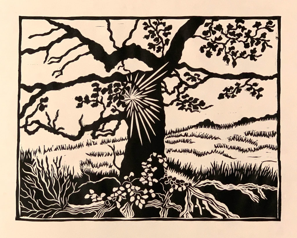 linocut of big oak tree on hillside with exposed roots and sunburst on left edge of tree trunk